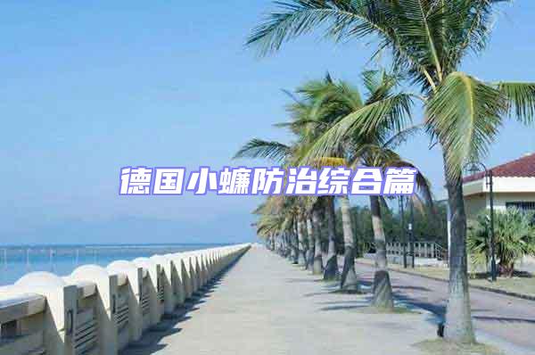 德國(guó)小蠊防治綜合篇