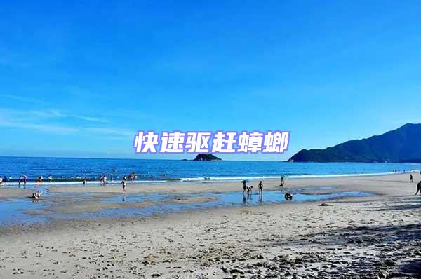 快速驅趕蟑螂