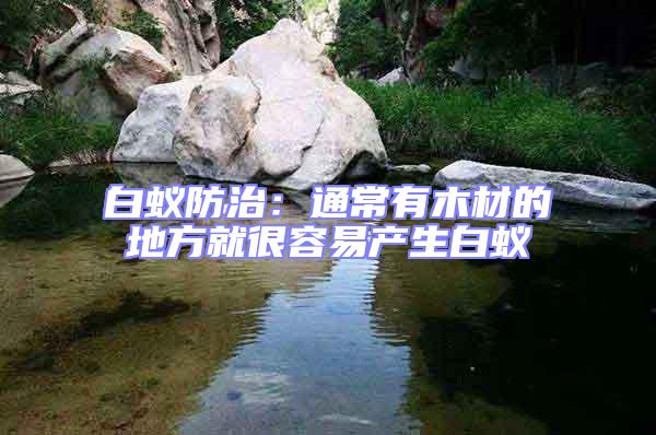 白蟻防治：通常有木材的地方就很容易產生白蟻