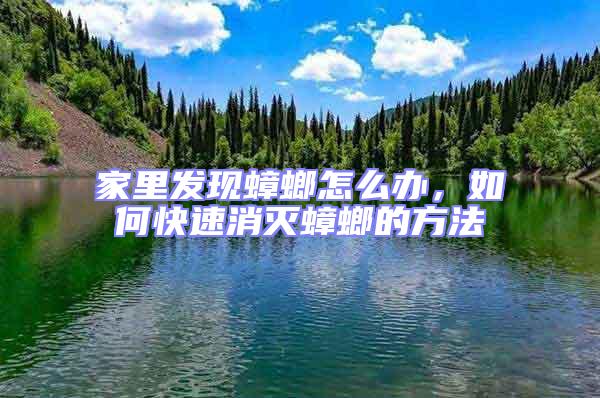 家里發現蟑螂怎么辦，如何快速消滅蟑螂的方法