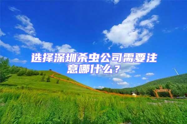 選擇深圳殺蟲公司需要注意哪什么？