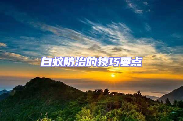 白蟻防治的技巧要點(diǎn)