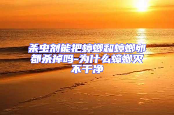 殺蟲劑能把蟑螂和蟑螂卵都?xì)⒌魡?為什么蟑螂滅不干凈
