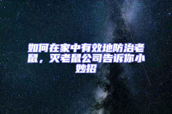 如何在家中有效地防治老鼠，滅老鼠公司告訴你小妙招