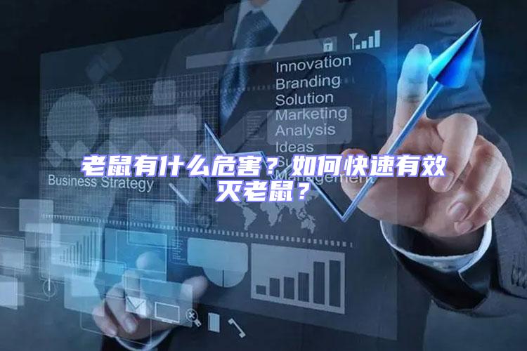 老鼠有什么危害？如何快速有效滅老鼠？