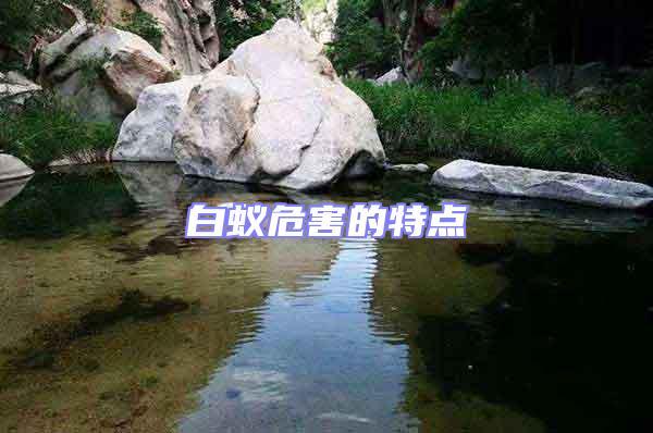 白蟻危害的特點(diǎn)