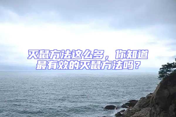 滅鼠方法這么多,你知道最有效的滅鼠方法嗎?