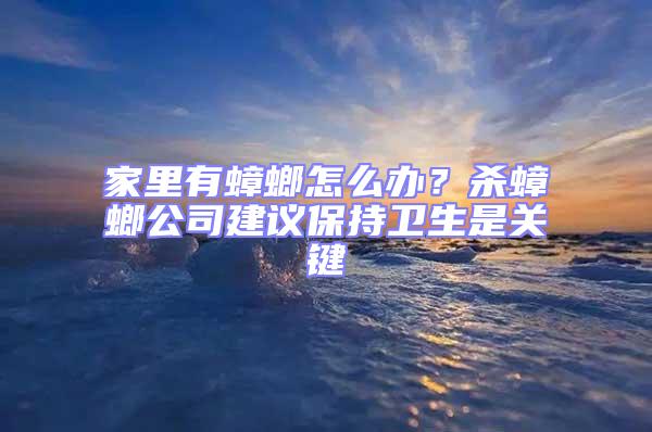 家里有蟑螂怎么辦？殺蟑螂公司建議保持衛生是關鍵