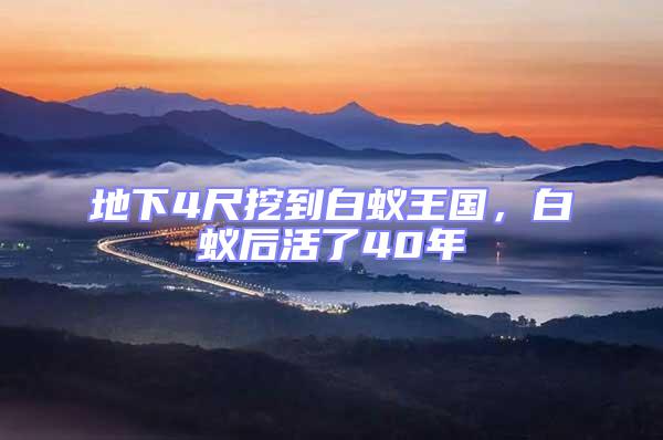 地下4尺挖到白蟻王國(guó)，白蟻后活了40年