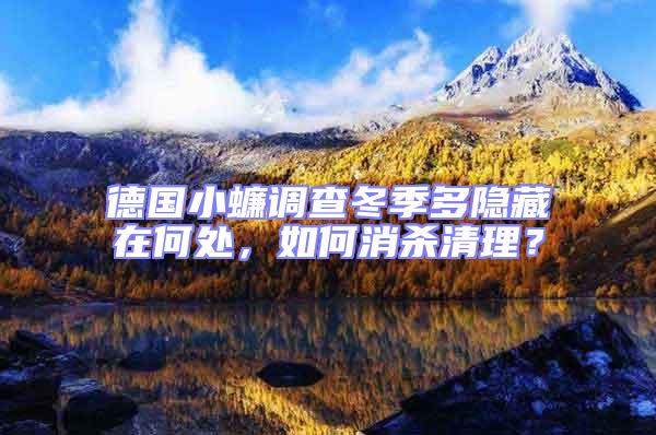 德國小蠊調(diào)查冬季多隱藏在何處，如何消殺清理？