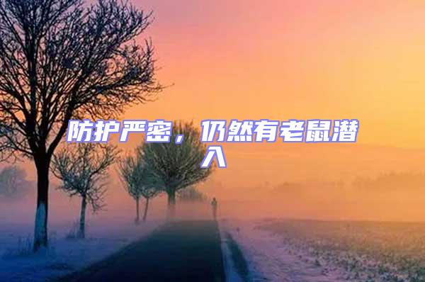 防護嚴密，仍然有老鼠潛入