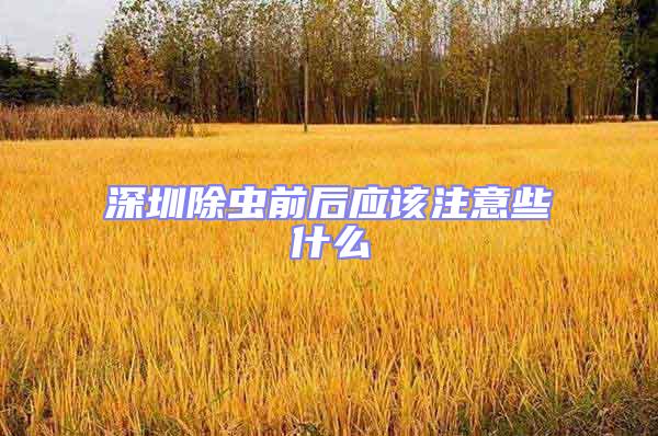 深圳除蟲前后應該注意些什么