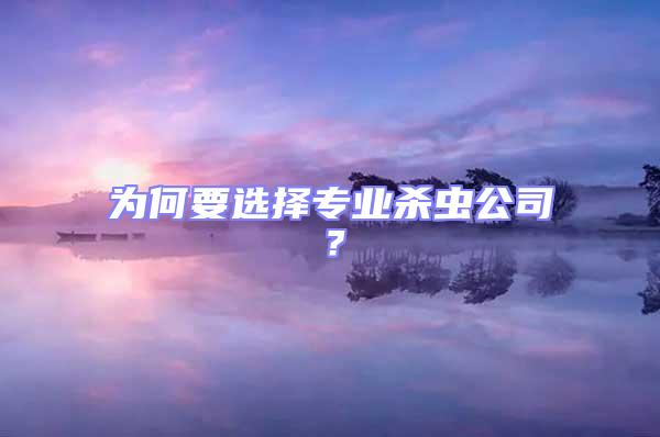 為何要選擇專業殺蟲公司？