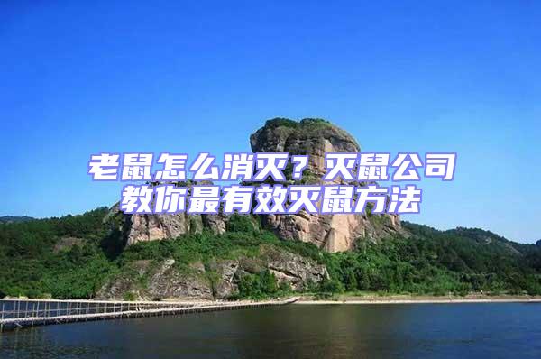老鼠怎么消滅？滅鼠公司教你最有效滅鼠方法