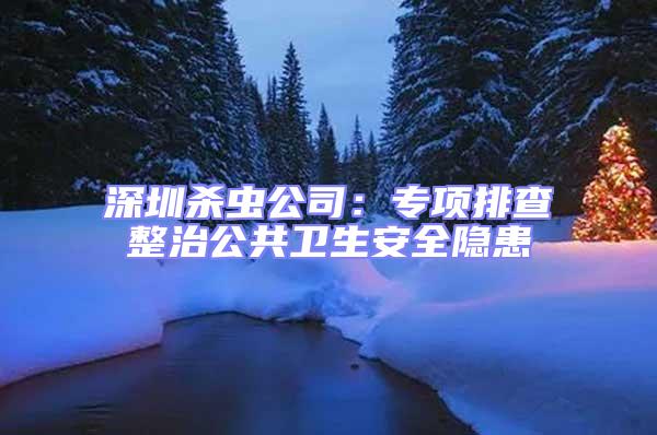 深圳殺蟲(chóng)公司：專項(xiàng)排查整治公共衛(wèi)生安全隱患