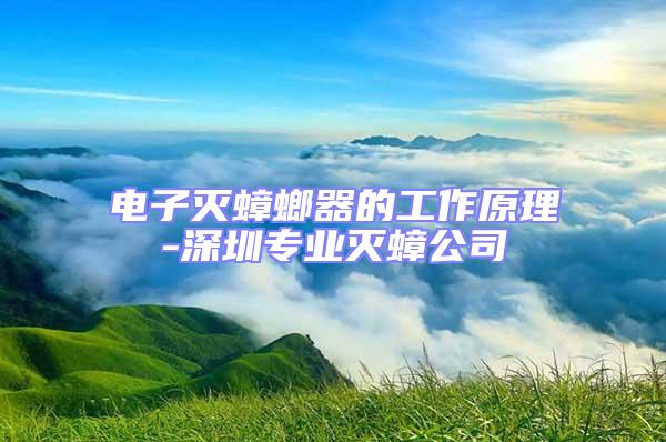 電子滅蟑螂器的工作原理-深圳專業滅蟑公司