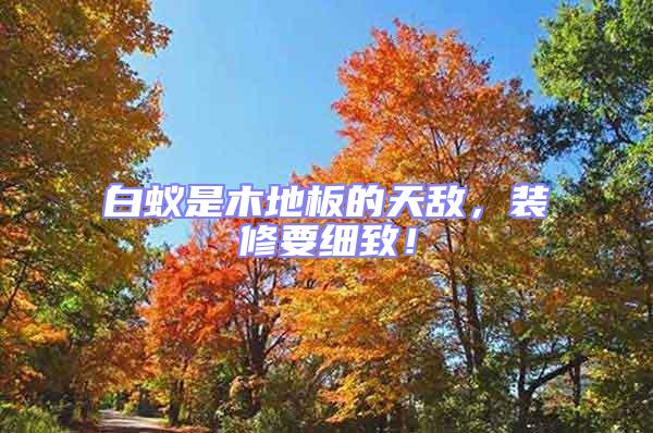 白蟻是木地板的天敵，裝修要細(xì)致！