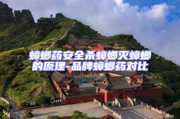 蟑螂藥安全殺蟑螂滅蟑螂的原理-品牌蟑螂藥對(duì)比