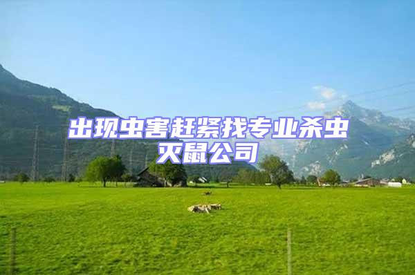 出現蟲害趕緊找專業殺蟲滅鼠公司