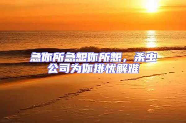 急你所急想你所想，殺蟲公司為你排憂解難