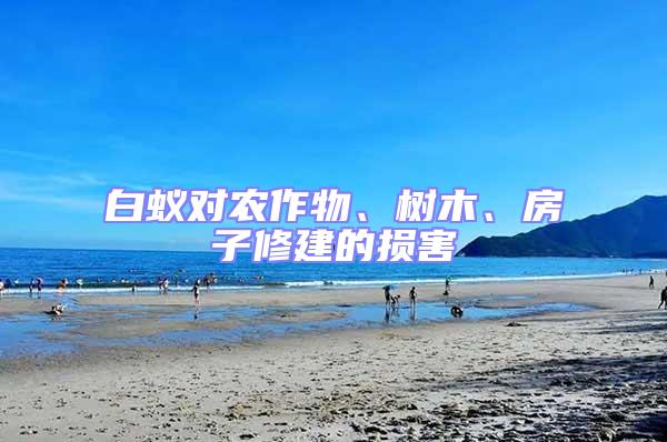 白蟻對(duì)農(nóng)作物、樹(shù)木、房子修建的損害