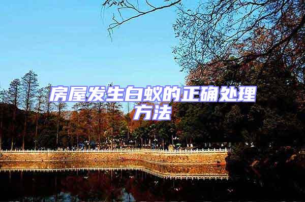 房屋發(fā)生白蟻的正確處理方法