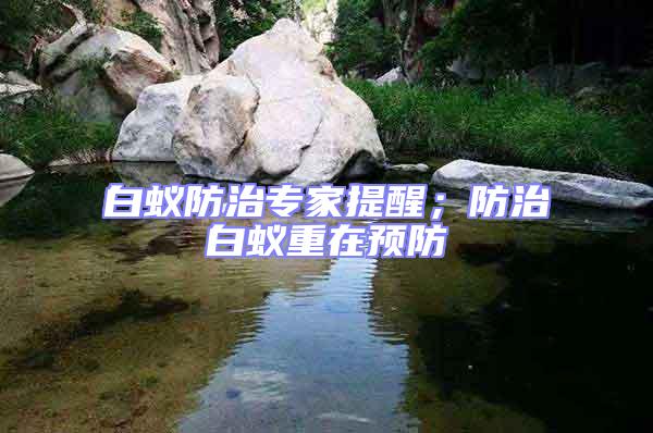 白蟻防治專家提醒；防治白蟻重在預(yù)防