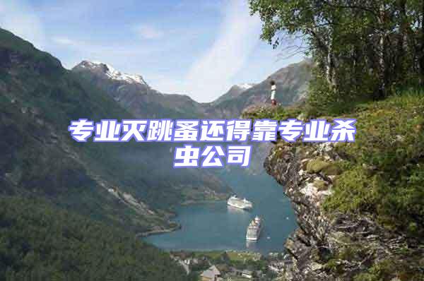 專業(yè)滅跳蚤還得靠專業(yè)殺蟲公司