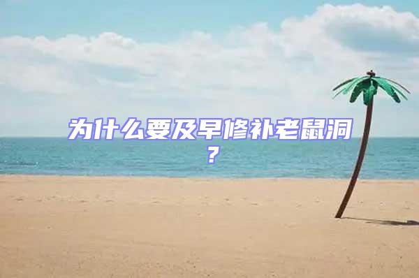為什么要及早修補老鼠洞？