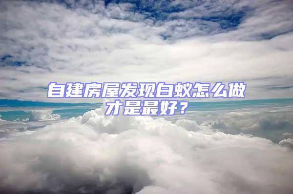 自建房屋發(fā)現(xiàn)白蟻怎么做才是最好?