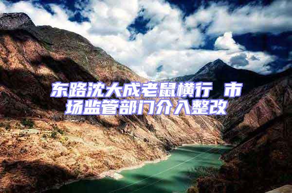 東路沈大成老鼠橫行 市場監(jiān)管部門介入整改