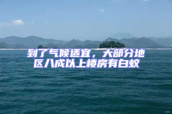 到了氣候適宜，大部分地區八成以上樓房有白蟻