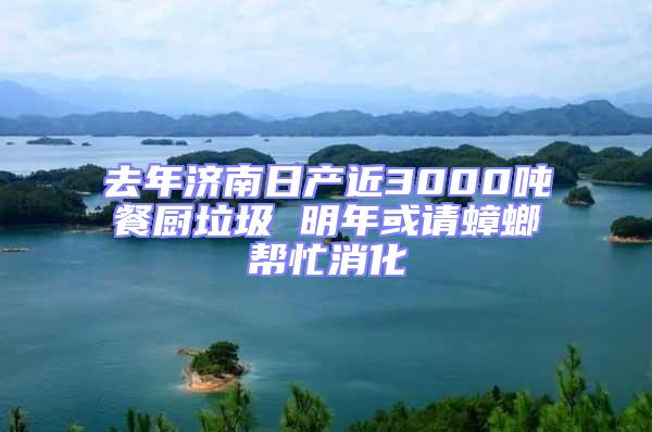 去年濟南日產(chǎn)近3000噸餐廚垃圾 明年或請蟑螂幫忙消化