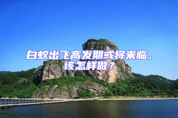 白蟻出飛高發(fā)期或?qū)?lái)臨，該怎樣做？