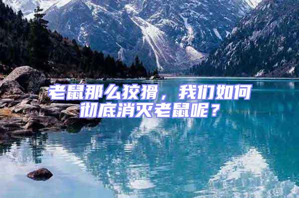 老鼠那么狡猾，我們?nèi)绾螐氐紫麥缋鲜竽兀?/></p>
									<p style=