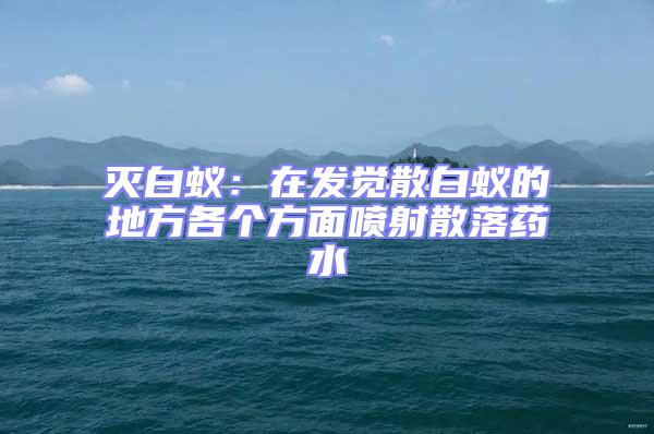 滅白蟻:在發覺散白蟻的地方各個方面噴射散落藥水