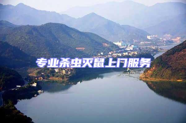 專業殺蟲滅鼠上門服務