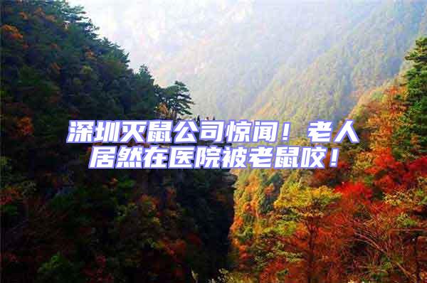 深圳滅鼠公司驚聞！老人居然在醫院被老鼠咬！