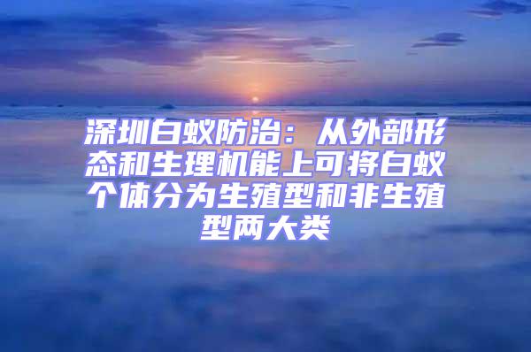深圳白蟻防治：從外部形態(tài)和生理機(jī)能上可將白蟻個(gè)體分為生殖型和非生殖型兩大類(lèi)