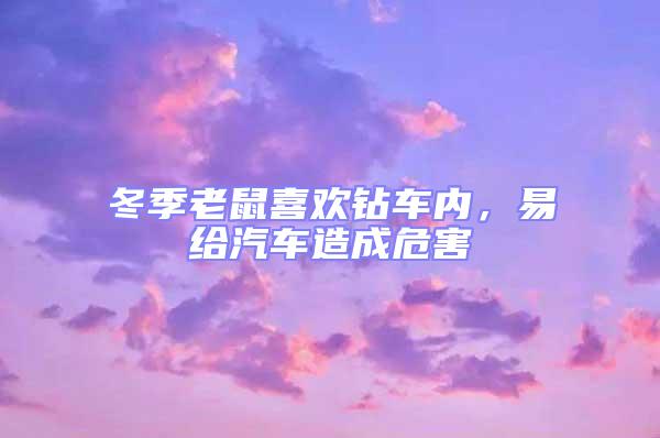 冬季老鼠喜歡鉆車內，易給汽車造成危害