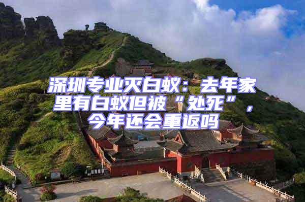 深圳專業(yè)滅白蟻：去年家里有白蟻但被“處死”，今年還會(huì)重返嗎