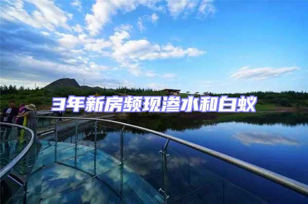 3年新房頻現滲水和白蟻