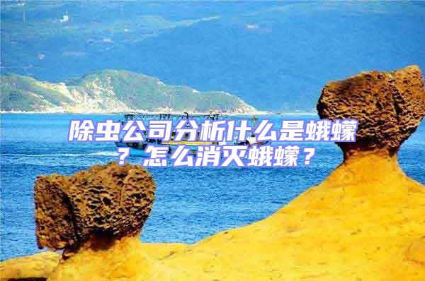 除蟲公司分析什么是蛾蠓？怎么消滅蛾蠓？