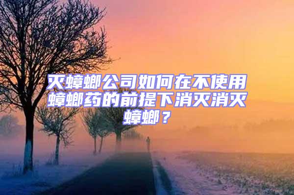 滅蟑螂公司如何在不使用蟑螂藥的前提下消滅消滅蟑螂？