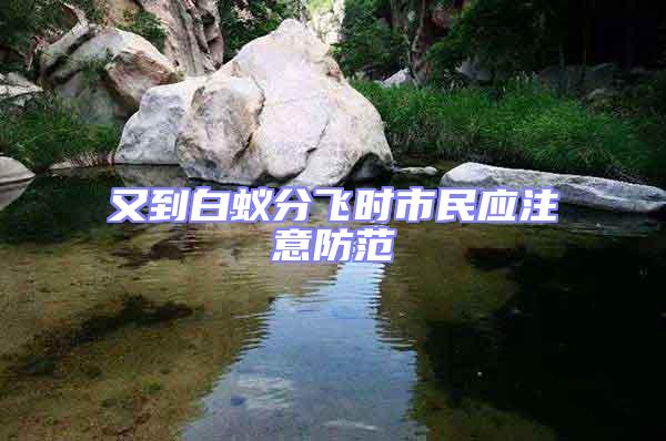 又到白蟻分飛時市民應(yīng)注意防范