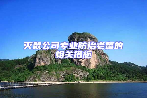 滅鼠公司專業(yè)防治老鼠的相關措施