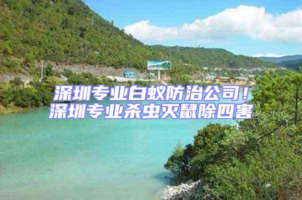 深圳專(zhuān)業(yè)白蟻防治公司！深圳專(zhuān)業(yè)殺蟲(chóng)滅鼠除四害