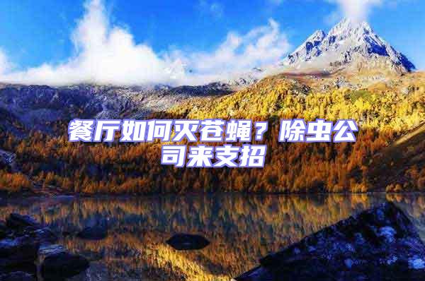 餐廳如何滅蒼蠅？除蟲公司來支招