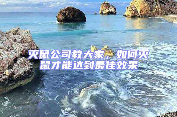 滅鼠公司教大家，如何滅鼠才能達(dá)到最佳效果