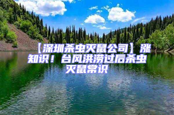 【深圳殺蟲滅鼠公司】漲知識(shí)！臺(tái)風(fēng)洪澇過后殺蟲滅鼠常識(shí)